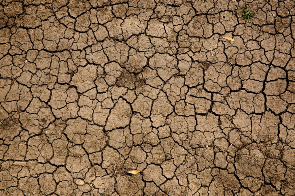 sovrappopolazione e clima