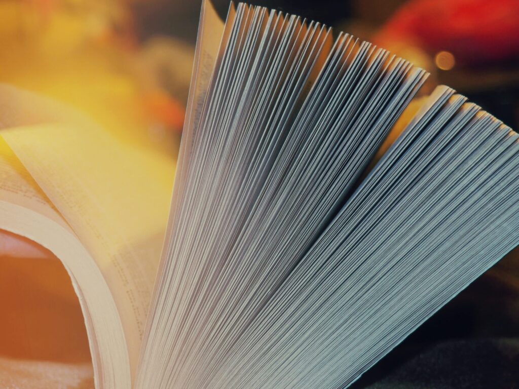 social e letteratura