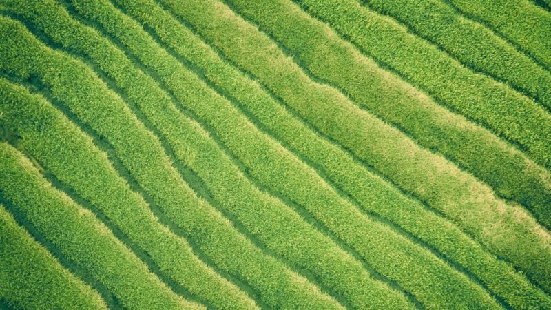 ivan-bandura-9OTvQhAm5d4-unsplash