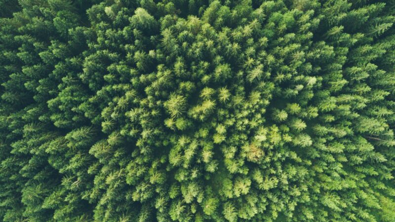 john-o-nolan-uMWPrcRsrto-unsplash (1)